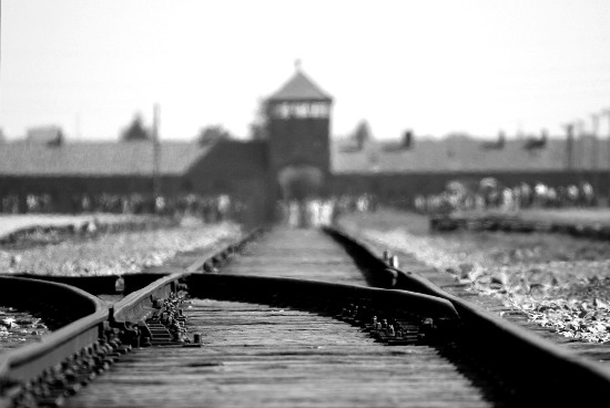 birkenau big