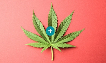 Canadian firm develops 3D system to grow medical marijuana