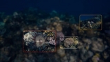 Protecting the Great Barrier Reef with AI