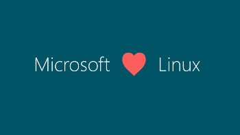 So Microsoft is using Linux. What&#039;s the big deal?