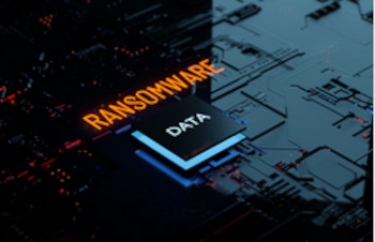 Melbourne firm denies data stolen during ransomware attack