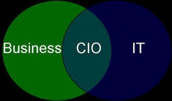 The emergence of the high performing CIO